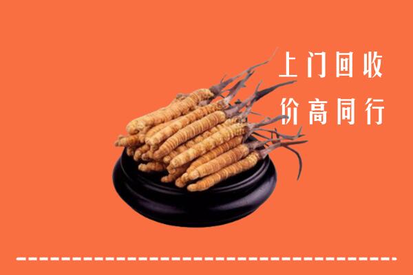 运城河津市回收冬虫夏草