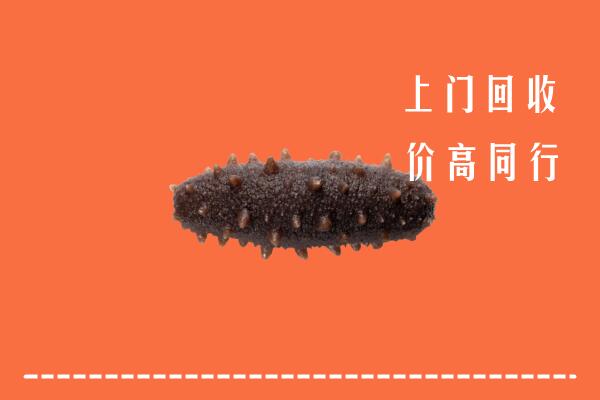 运城河津市回收海参