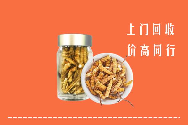 运城河津市回收冬虫夏草