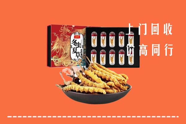 运城河津市回收虫草